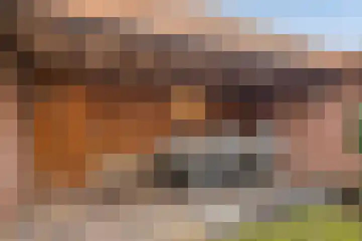 Gerard van Dinterstraat 39 Rosmalen thumbnail 31