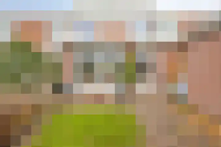 Gerard van Dinterstraat 39 Rosmalen thumbnail 32
