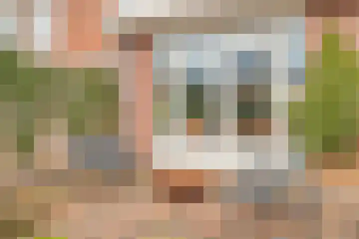 Gerard van Dinterstraat 39 Rosmalen thumbnail 35