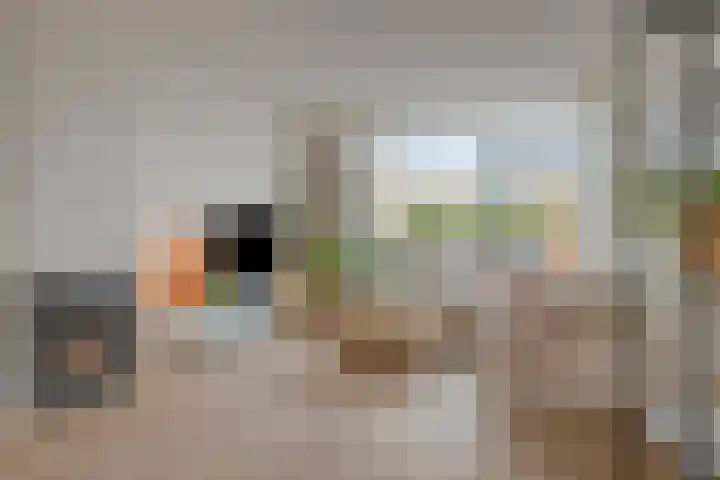 Gerard van Dinterstraat 39 Rosmalen thumbnail 4