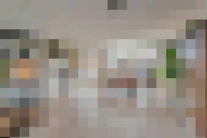 Gerard van Dinterstraat 39 Rosmalen thumbnail 7