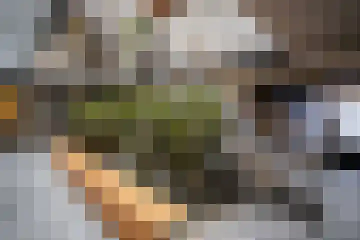 Gerard van Duinstraat 14 Hoofddorp thumbnail 26