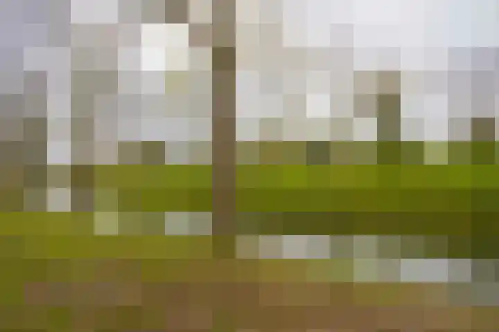 Gerard van Duinstraat 14 Hoofddorp thumbnail 32
