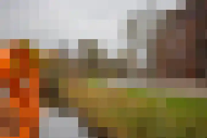 Gerard van Duinstraat 14 Hoofddorp thumbnail 35