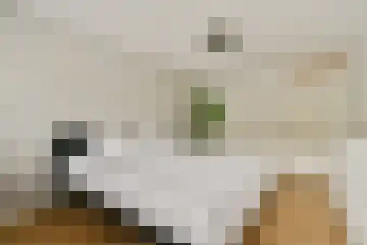 Gerard van Duinstraat 3 Hoofddorp thumbnail 22