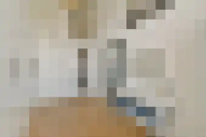 Gerard van Duinstraat 3 Hoofddorp thumbnail 29