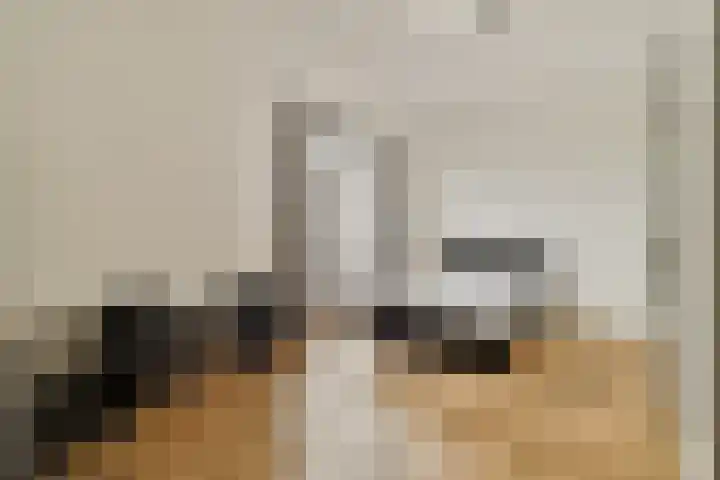 Gerard van Duinstraat 3 Hoofddorp thumbnail 31