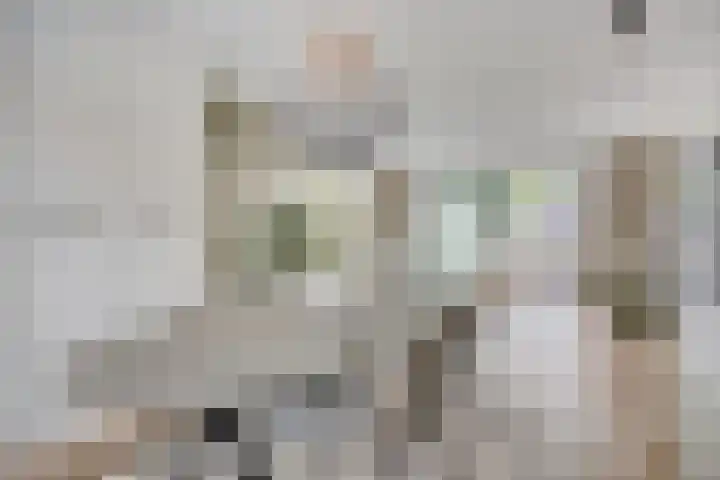 Gerard van Houweningepad 6 Rotterdam thumbnail 14