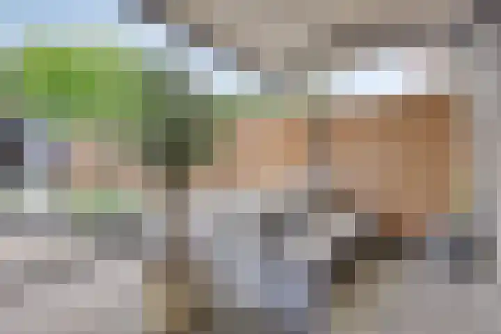 Gerard van Houweningepad 6 Rotterdam thumbnail 17