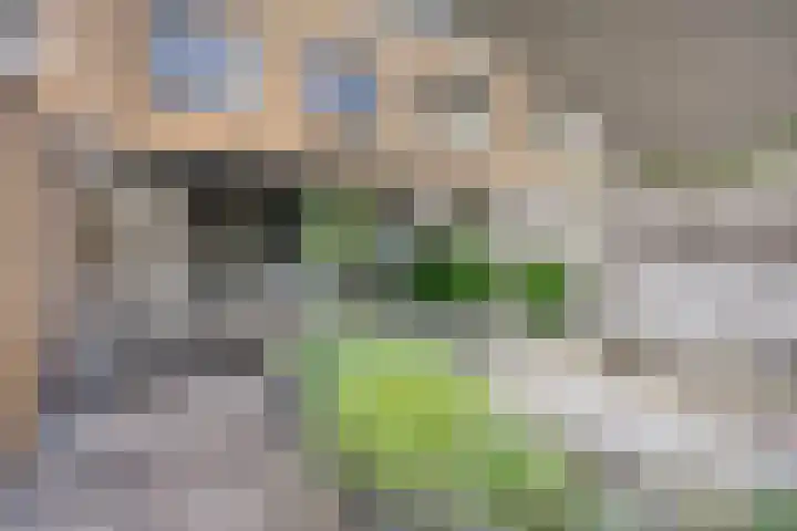 Gerard van Houweningepad 6 Rotterdam thumbnail 22