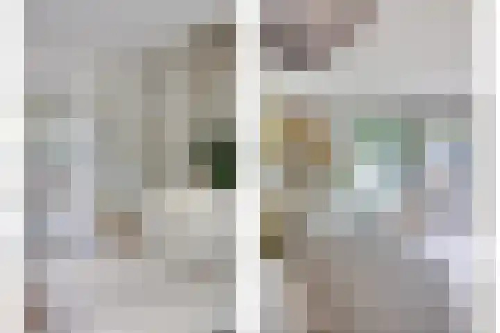 Gerard van Houweningepad 6 Rotterdam thumbnail 29