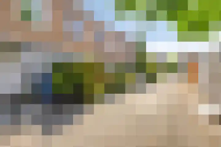 Gerard van Houweningepad 6 Rotterdam thumbnail 57