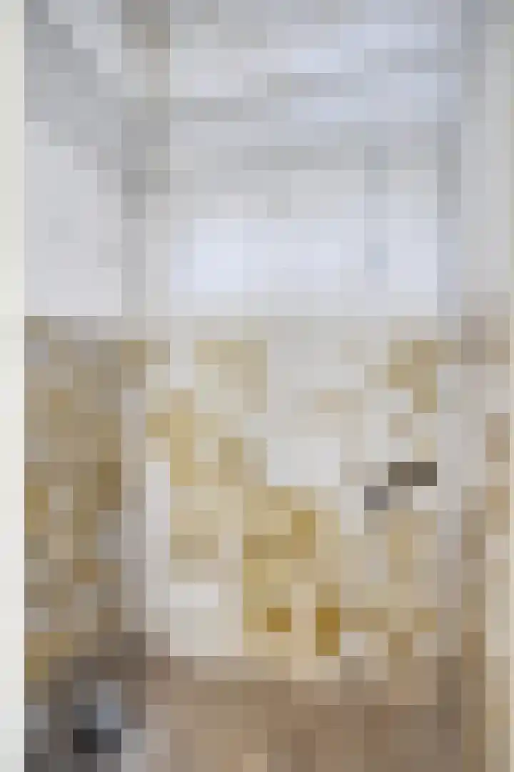 Gerard van Nuenenstraat 19 Tilburg thumbnail 10
