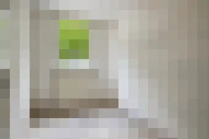 Gerard van Nuenenstraat 19 Tilburg thumbnail 13