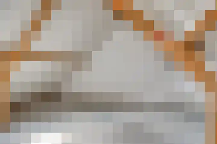 Gerard van Nuenenstraat 19 Tilburg thumbnail 19