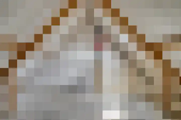 Gerard van Nuenenstraat 19 Tilburg thumbnail 20