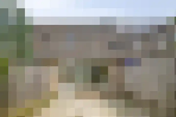 Gerard van Nuenenstraat 19 Tilburg thumbnail 24