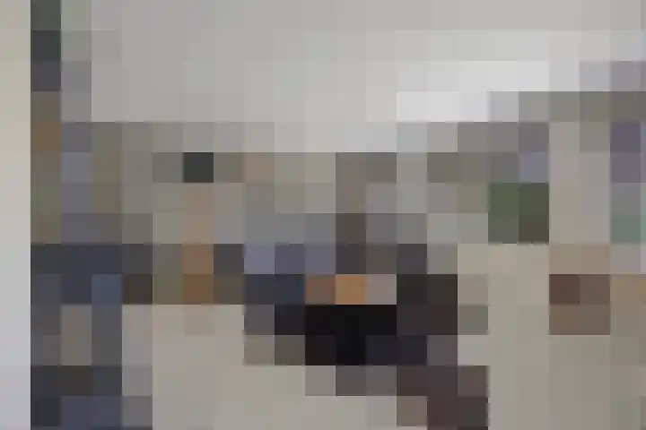 Gerard van Oostromstraat 12 Oudheusden thumbnail 12