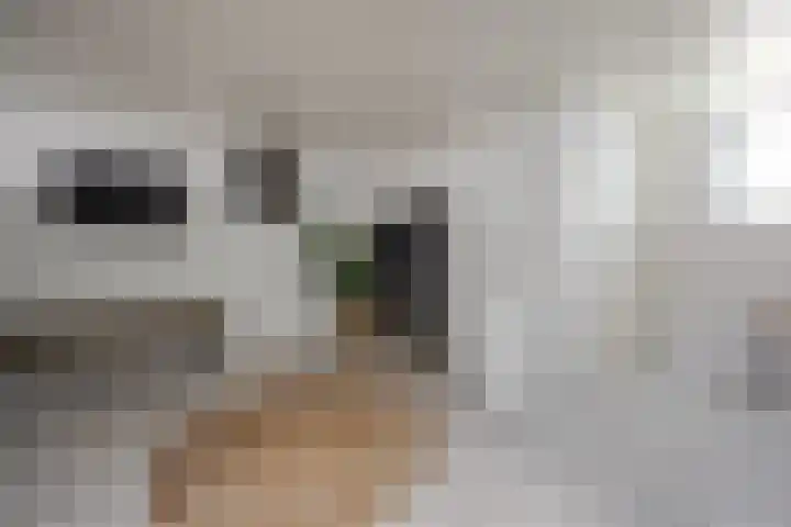 Gerard van Oostromstraat 12 Oudheusden thumbnail 19