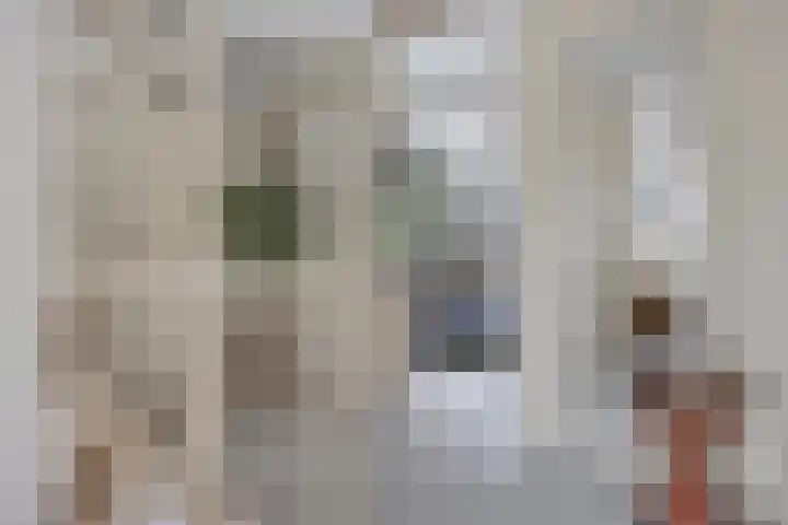 Gerard van Oostromstraat 12 Oudheusden thumbnail 22