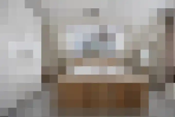 Gerard van Oostromstraat 12 Oudheusden thumbnail 23