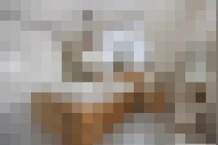 Gerard van Oostromstraat 12 Oudheusden thumbnail 25