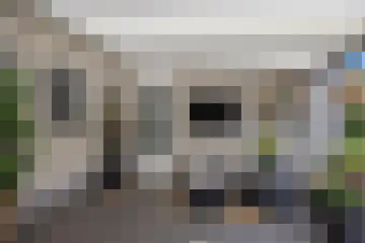 Gerard van Oostromstraat 12 Oudheusden thumbnail 33