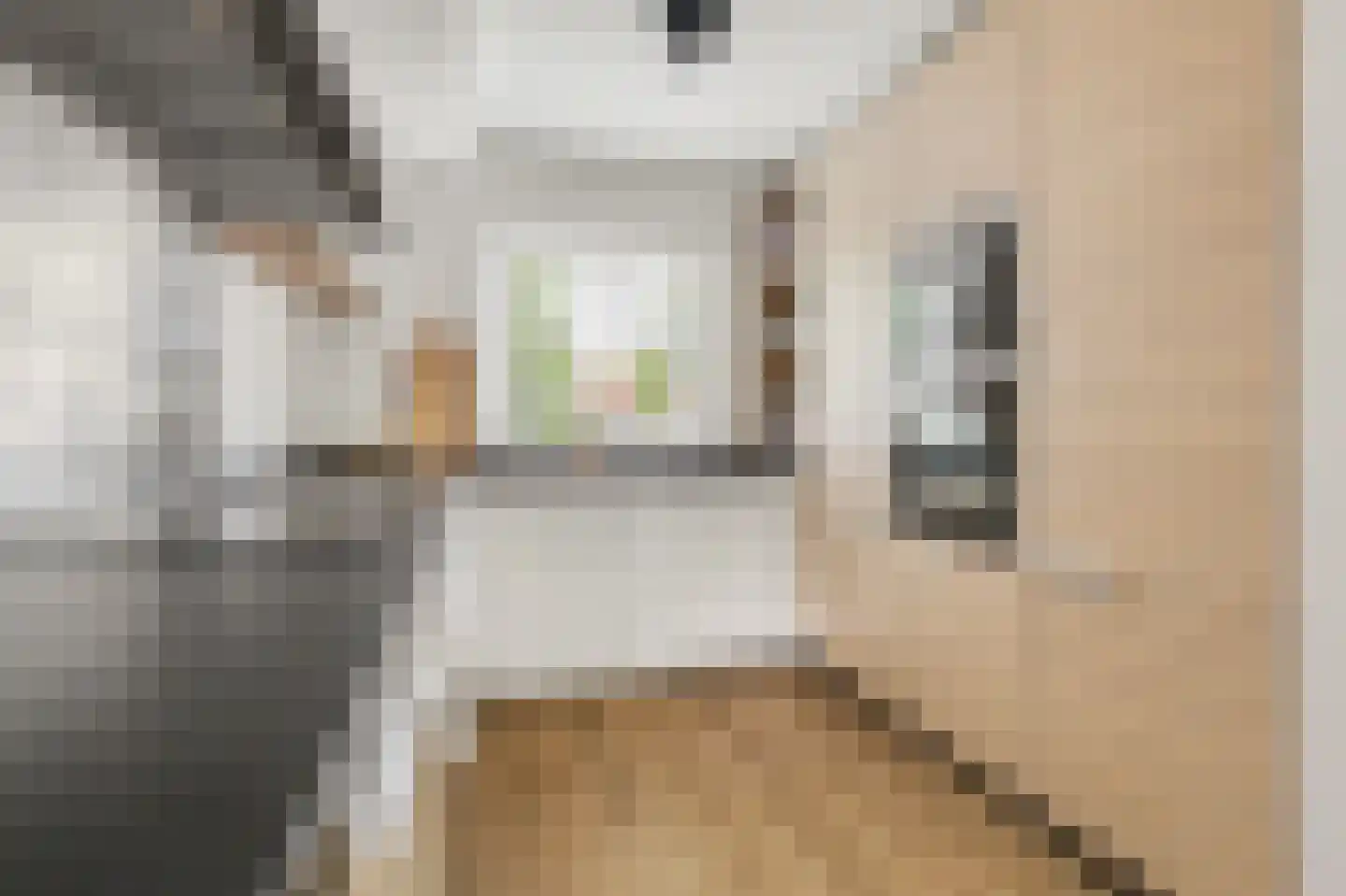 Gerard van Oostromstraat 4 Oudheusden thumbnail 10