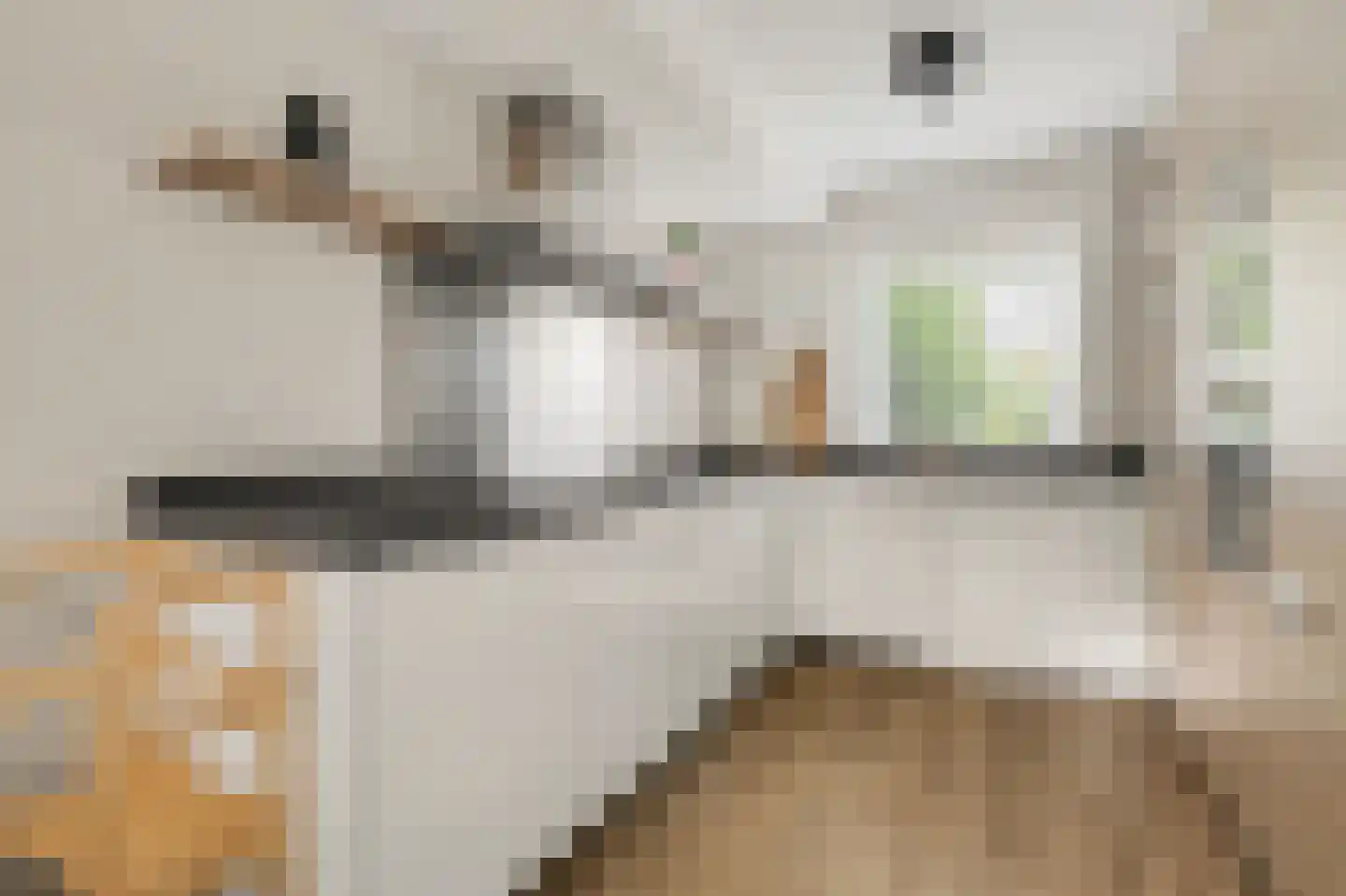 Gerard van Oostromstraat 4 Oudheusden thumbnail 11