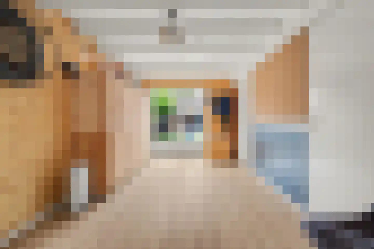 Gerard van Oostromstraat 4 Oudheusden thumbnail 17
