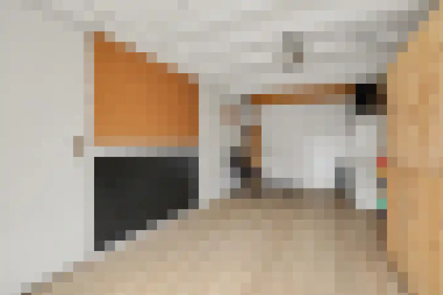 Gerard van Oostromstraat 4 Oudheusden thumbnail 18