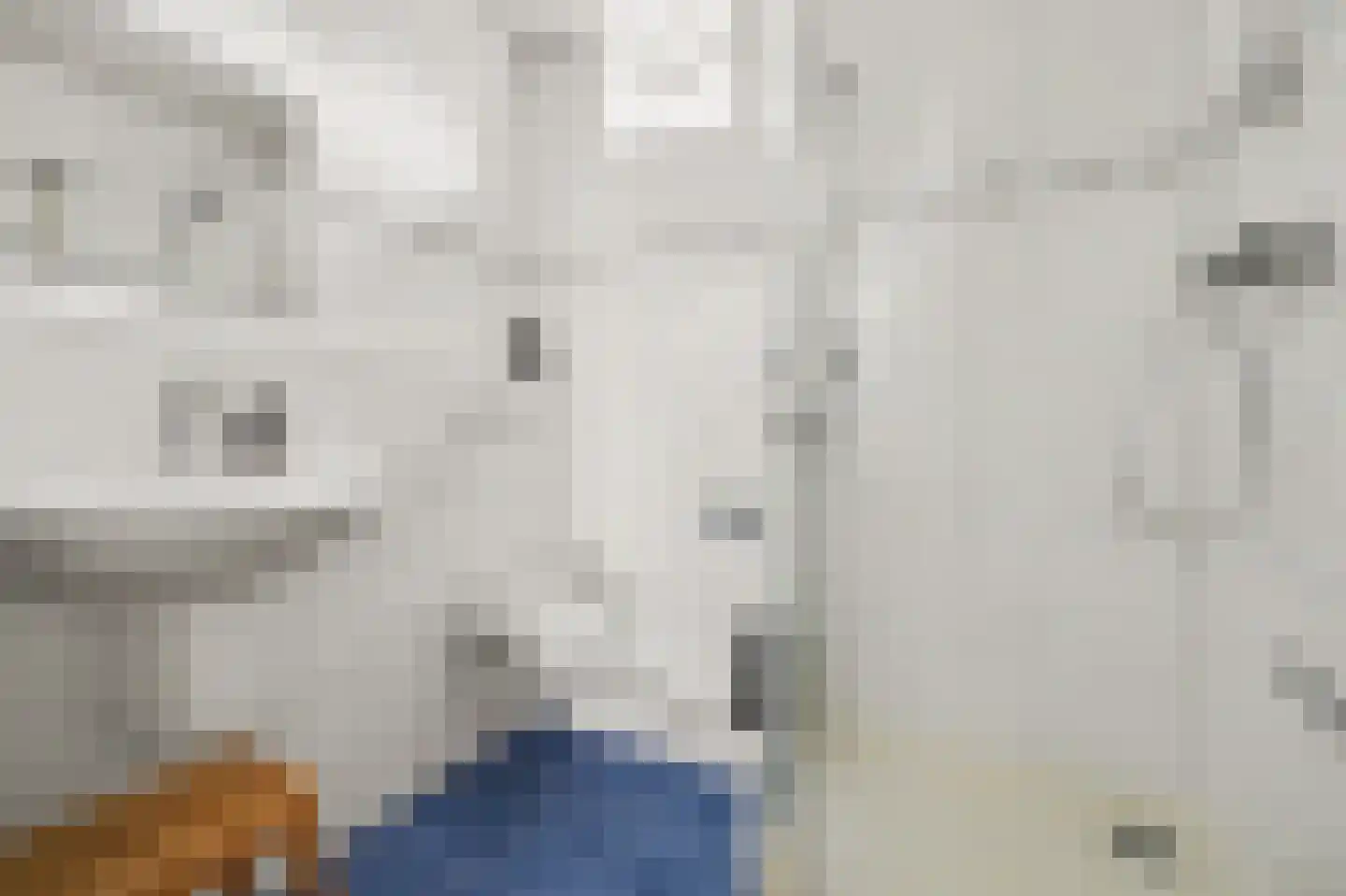 Gerard van Oostromstraat 4 Oudheusden thumbnail 25