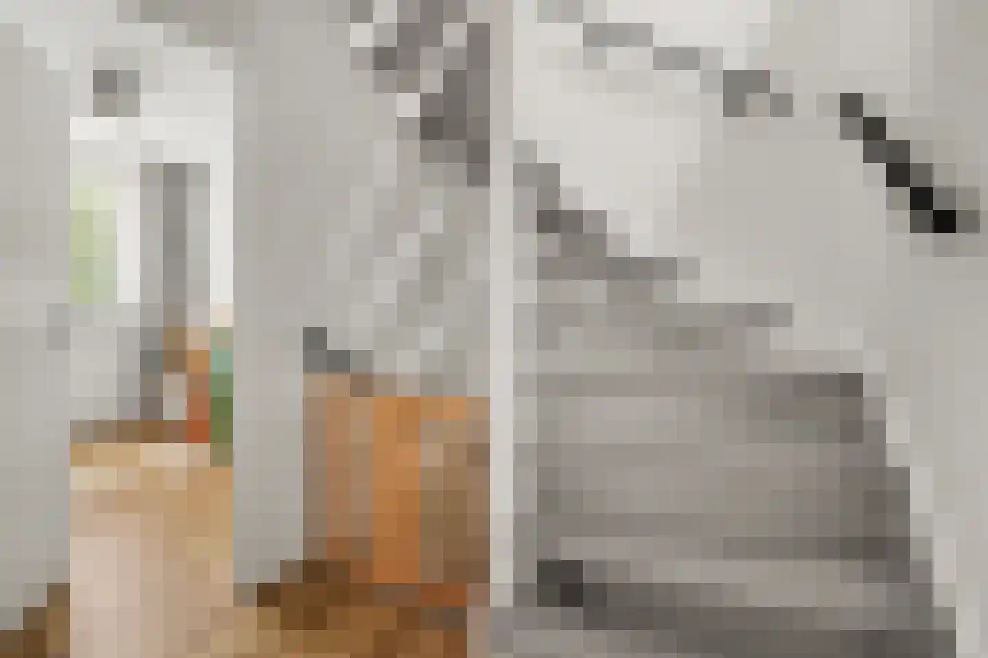 Gerard van Oostromstraat 4 Oudheusden thumbnail 31