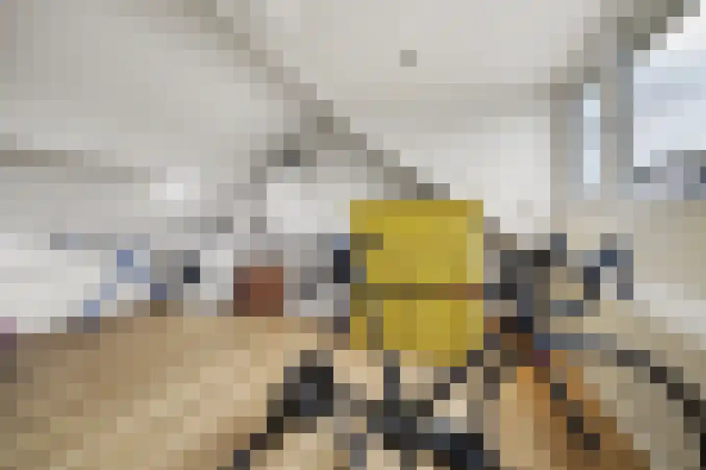 Gerard van Oostromstraat 4 Oudheusden thumbnail 35