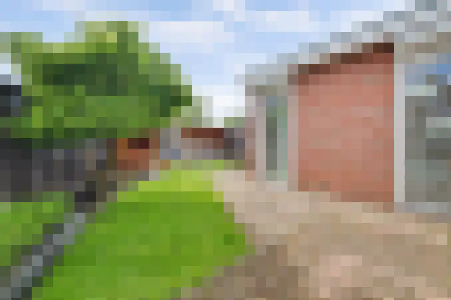 Gerard van Oostromstraat 4 Oudheusden thumbnail 41