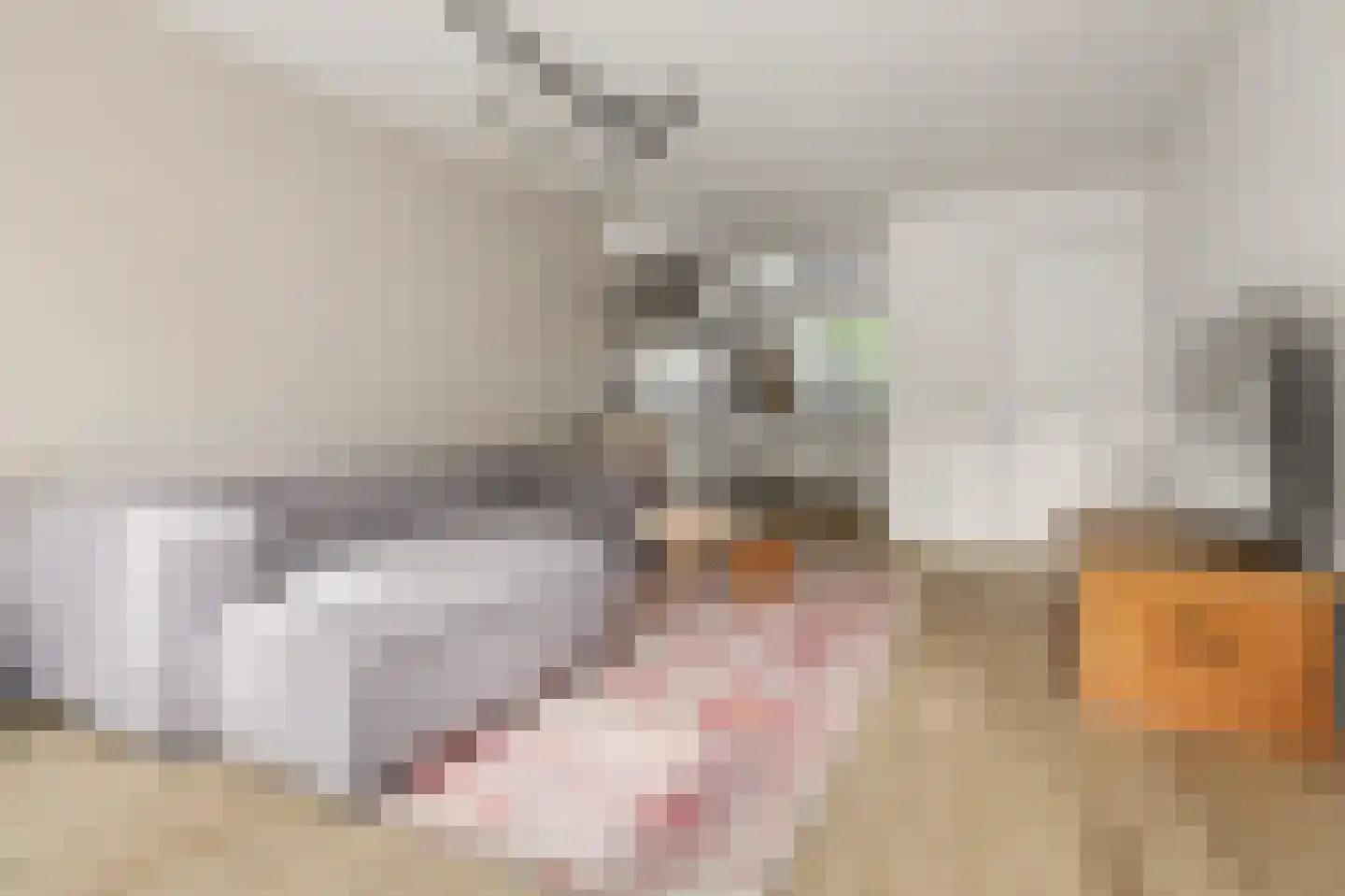 Gerard van Oostromstraat 4 Oudheusden thumbnail 8