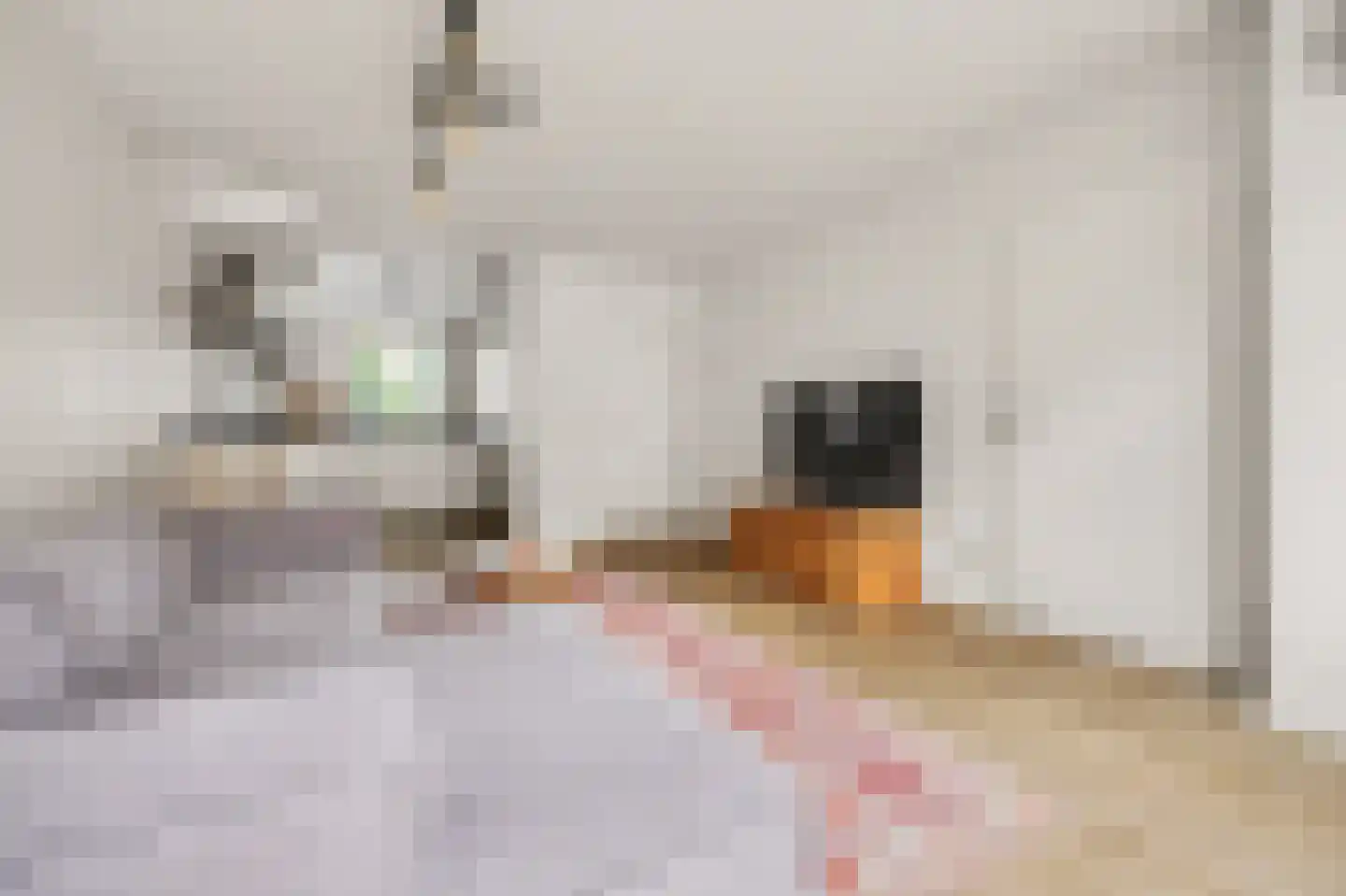 Gerard van Oostromstraat 4 Oudheusden thumbnail 9
