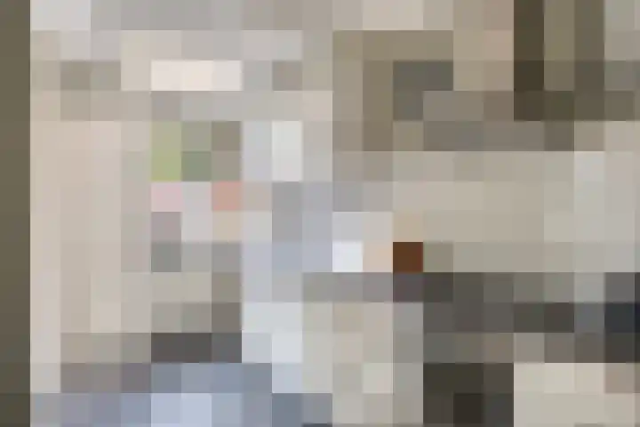 Gerard van Spaendonckstraat 19 Rosmalen thumbnail 11