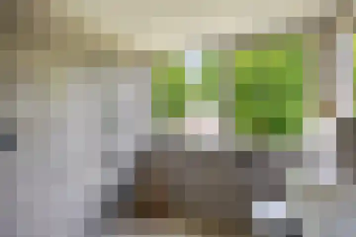 Gerard van Spaendonckstraat 19 Rosmalen thumbnail 17
