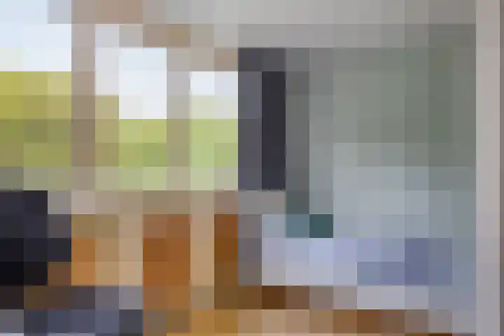 Gerard van Spaendonckstraat 19 Rosmalen thumbnail 19
