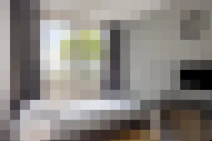 Gerard van Spaendonckstraat 19 Rosmalen thumbnail 21