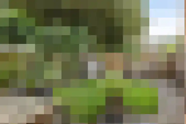 Gerard van Spaendonckstraat 19 Rosmalen thumbnail 24