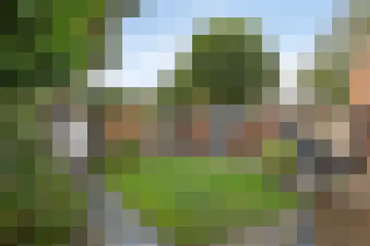 Gerard van Spaendonckstraat 19 Rosmalen thumbnail 25