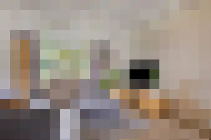 Gerard van Spaendonckstraat 19 Rosmalen thumbnail 5