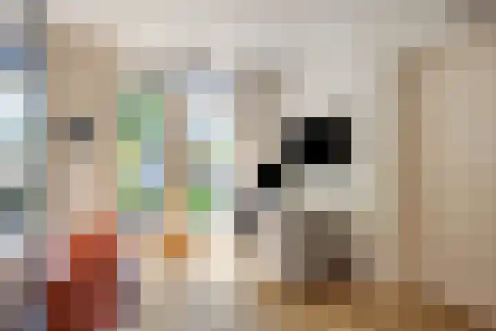 Gerard van Spaendonckstraat 19 Rosmalen thumbnail 8