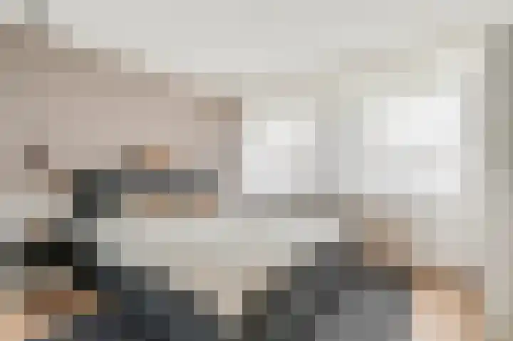 Gerard van Swietenlaan 20 Tiel thumbnail 15