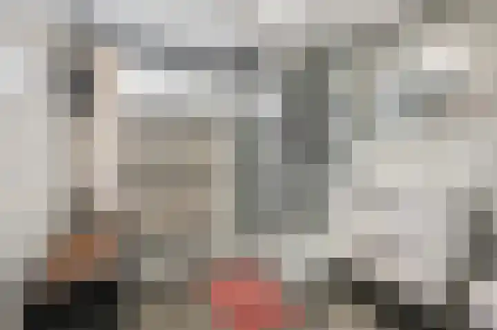 Gerard van Swietenlaan 20 Tiel thumbnail 17
