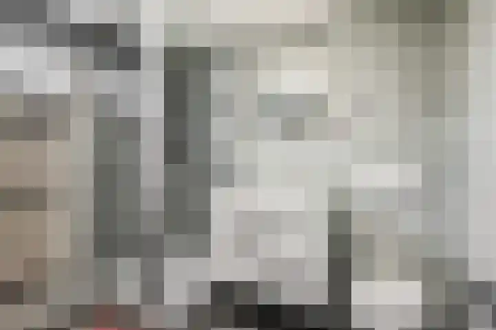 Gerard van Swietenlaan 20 Tiel thumbnail 18