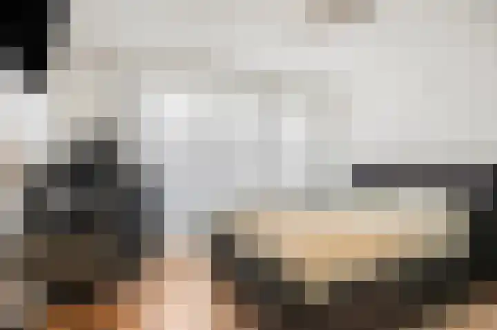 Gerard van Swietenlaan 20 Tiel thumbnail 19
