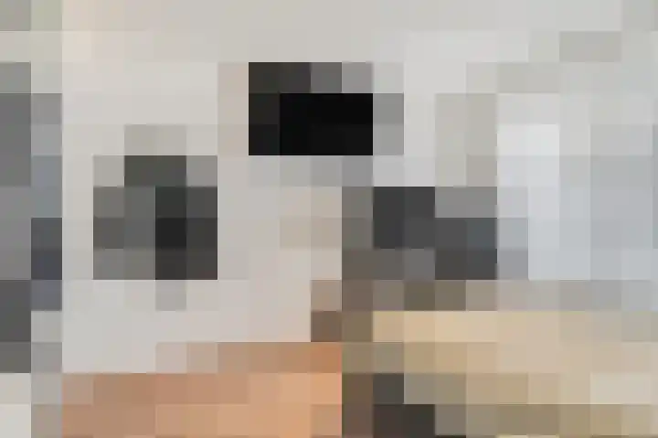 Gerard van Swietenlaan 20 Tiel thumbnail 20